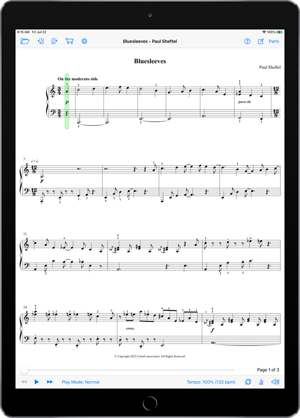 Blues & All That Jazz by Paul Sheftel  Super Score Sample